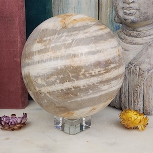 HUGE Petrified Wood Spheres