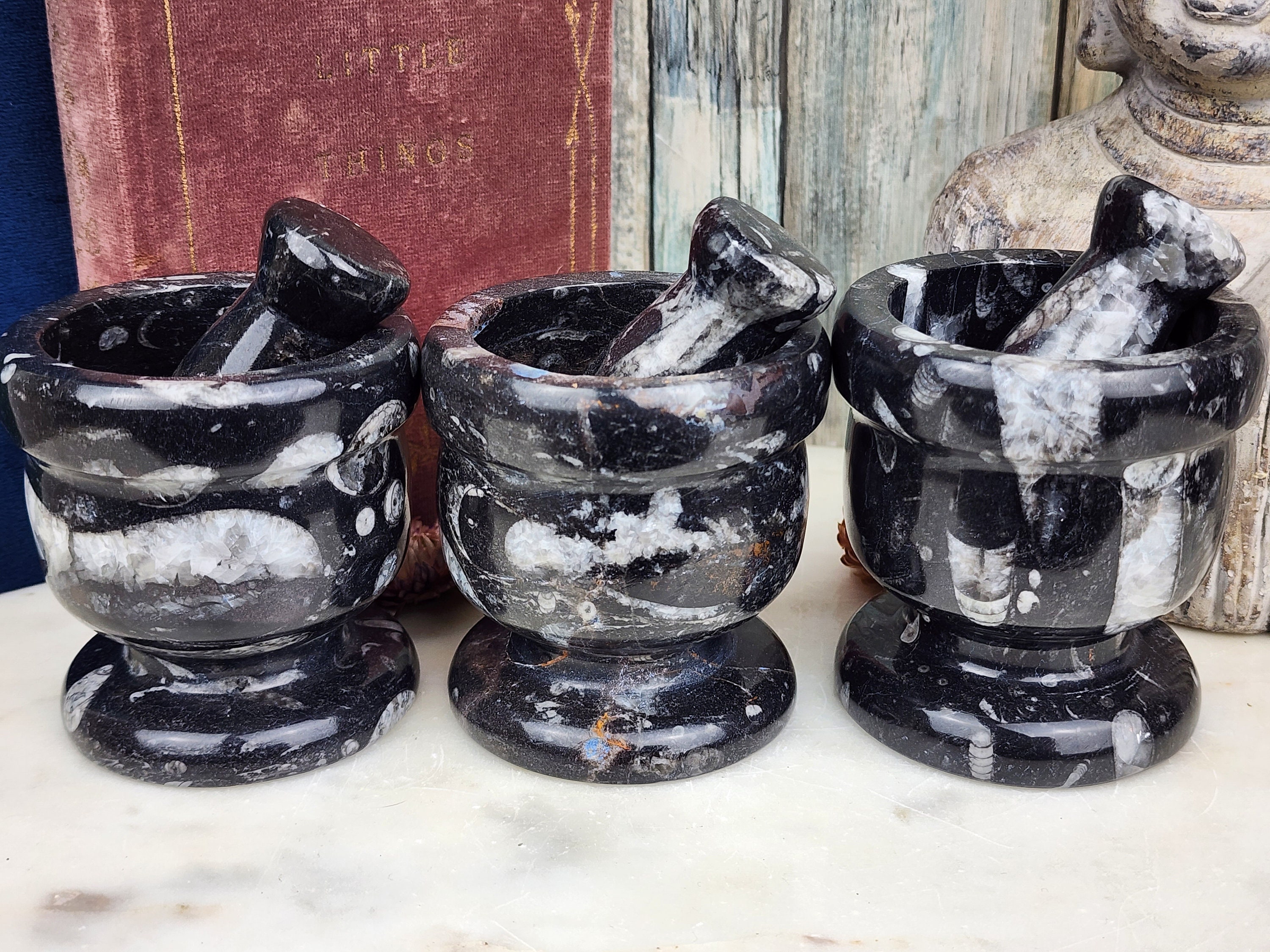 Orthoceras Motar and Pestle