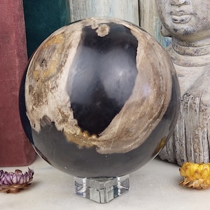 HUGE Petrified Wood Spheres