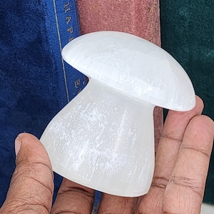 Large Selenite Mushrooms