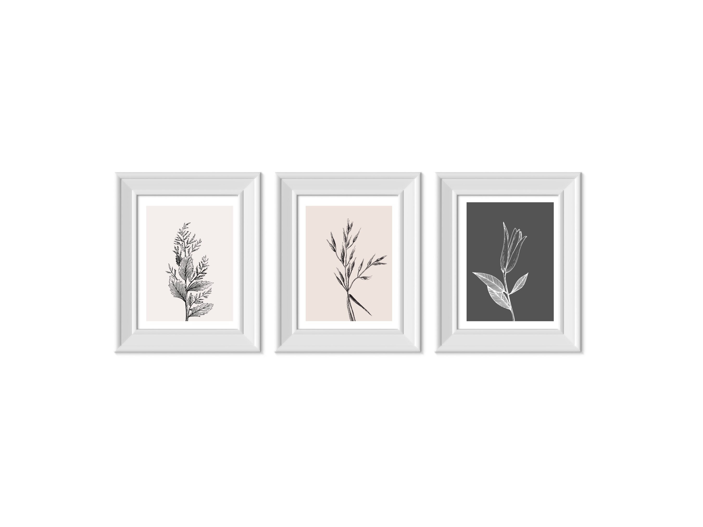 Botanical Prints Set of 3 Wall Art Nature Prints - Etsy