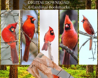 Set van 6 kardinale bladwijzers rode vogels download digitaal afdrukbaar