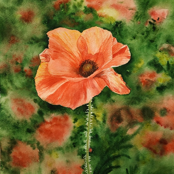 Poppy Flower Painting Original Art Small Artwork By Oksana Usenko