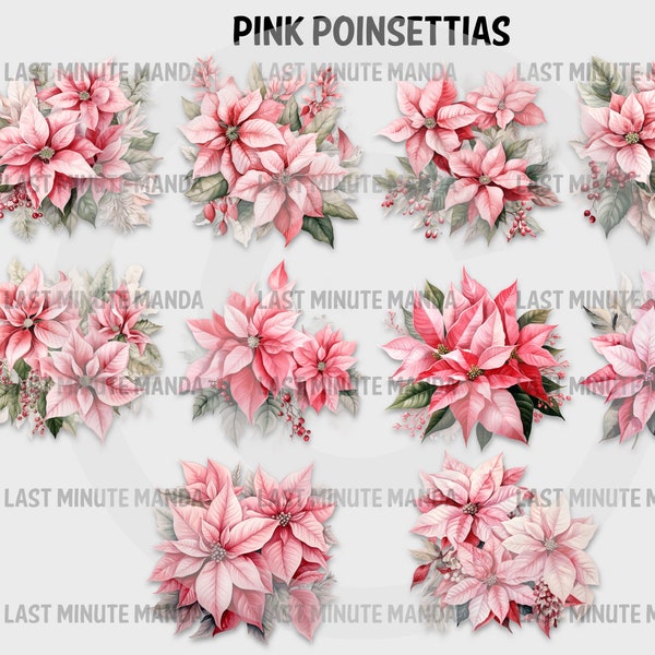 Pink Poinsettias Clipart Set – High-Quality PNG Graphics, 300dpi for Elegant DIY Creations! Perfect for Festive Designs!