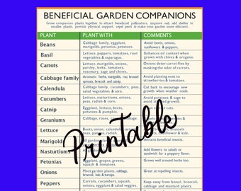 Companion Planting Garden Printable, PDF Planting Printable