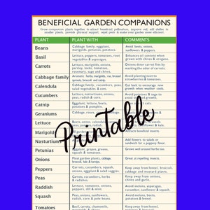 洋書　Planting Companions JAPANESE STYLE COMPANION PLANTING: ORGANIC GARDENING