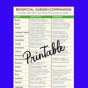 Companion Planting Garden Printable, PDF Planting Printable