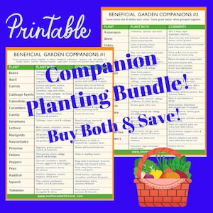 Companion Planting Guides 1 and 2 Printable. Plan Your Garden Ahead Of Time. image 1