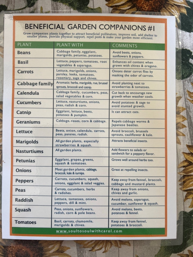 Companion Planting Guides 1 and 2 Printable. Plan Your Garden image 9