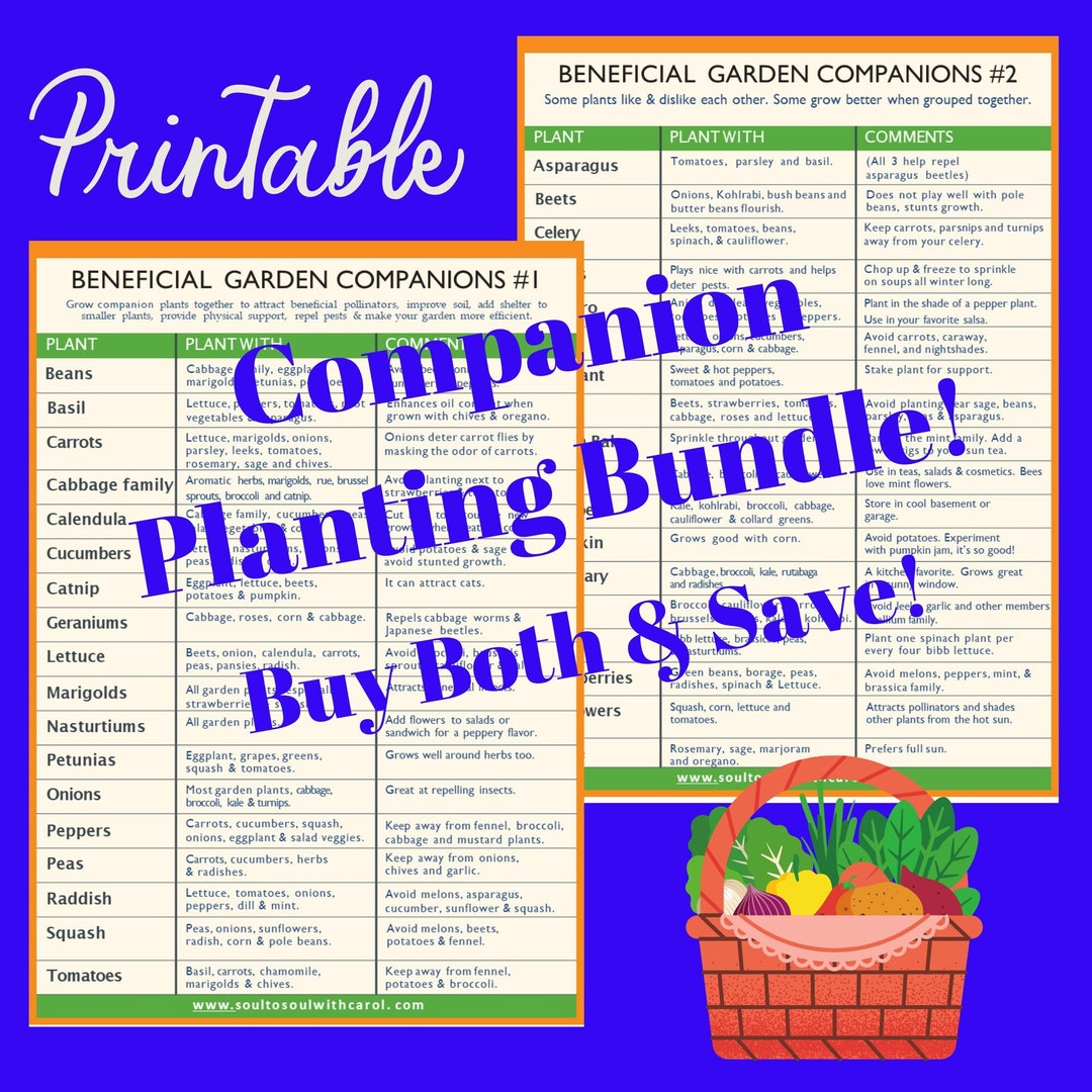 Companion Planting Guides 1 and 2 Printable. Garden Planning. - Etsy