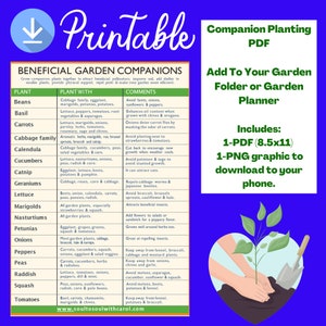 Companion Planting Garden Printable PDF Planting Printable image 2