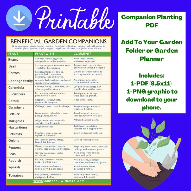 Companion Planting Garden Printable, PDF Planting Printable 画像 2