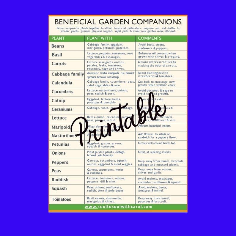 Companion Planting Garden Printable, PDF Planting Printable image 1