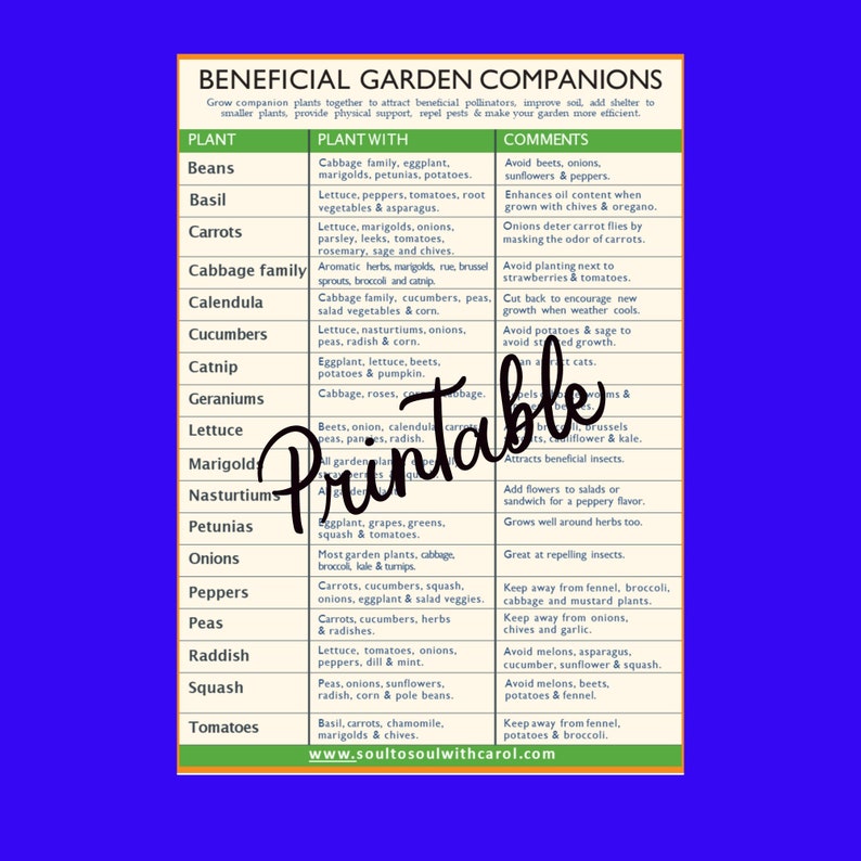 Companion Planting Garden Printable, PDF Planting Printable 画像 1