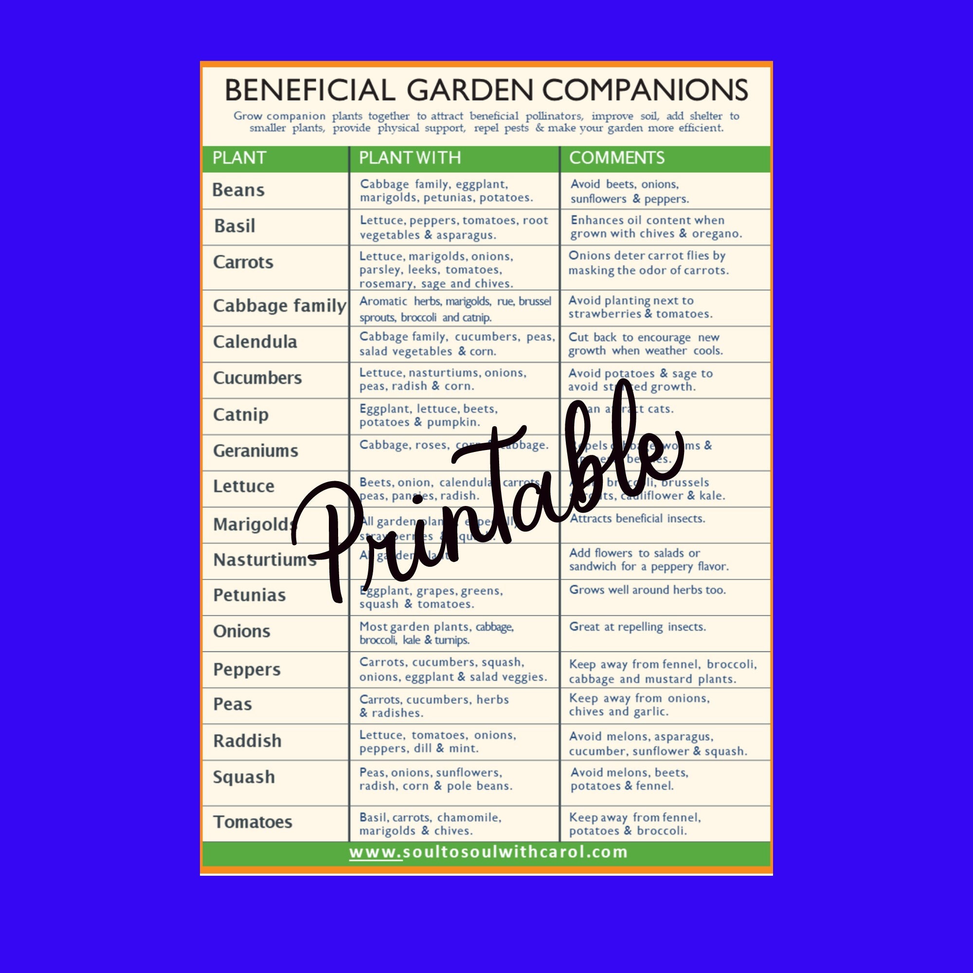Companion Planting Garden Printable PDF Planting Printable Etsy