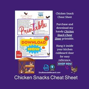 Chicken Snacks Cheat Sheet Printable Plus Bonus Sprouting Guide