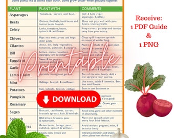 Companion Planting Garden Guide #2, PDF Planting Printable, Growing Vegetables