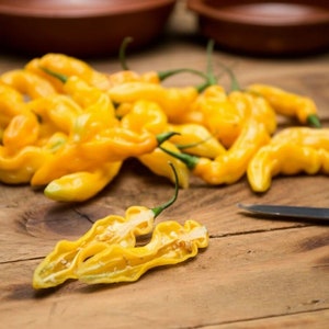 Puede incluir: Primer plano de un montón de pimientos habaneros amarillos brillantes sobre una superficie de madera. Un pimiento está cortado por la mitad, revelando las semillas en su interior.