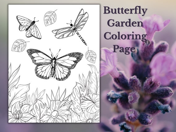 Butterfly Garden / Adult Coloring Page /printable Coloring | Etsy