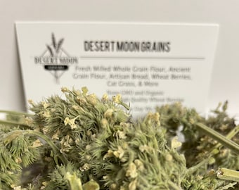 Potent Catnip Buds: Organically Grown Catnip Blossoms