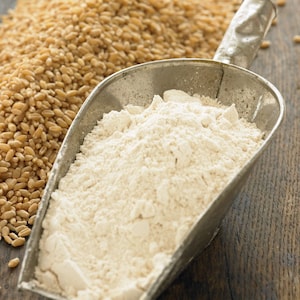 May include: A metal scoop filled with white flour, with a pile of wheat kernels in the background.