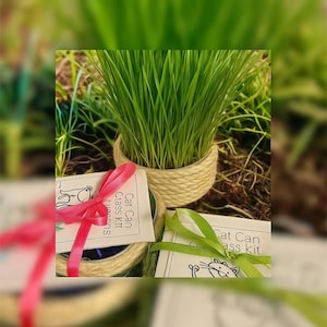 Upcycled Cat Grass Kit: Organic Wheatgrass Treat, Sisal Rope Can