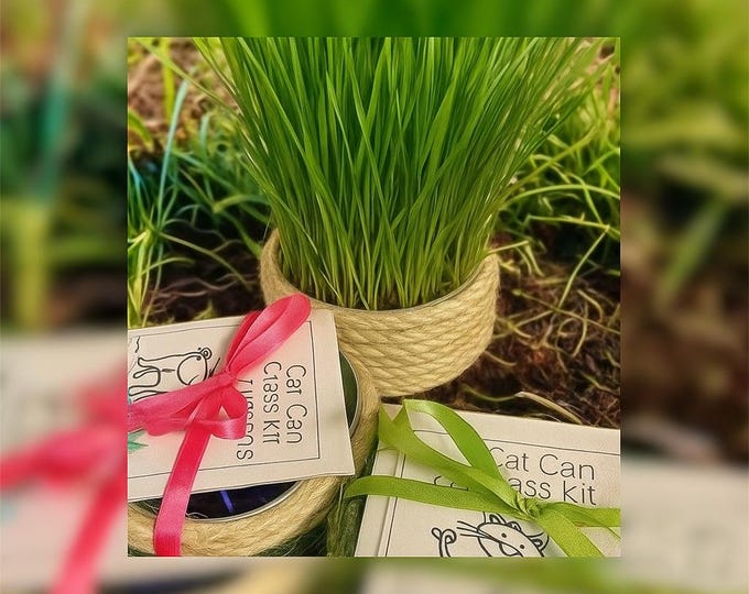 Upcycled Cat Grass Kit: Organic Wheatgrass Treat, Sisal Rope Can