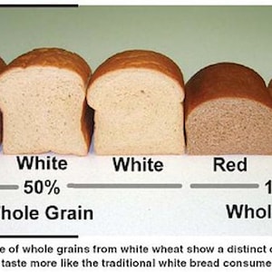 May include: Five slices of bread showing the difference in color between white bread made with 100% white wheat and bread made with a mix of white and red wheat. The slices are labeled "Red", "White", "White", "Red", and "White". The percentage of whole grain is indicated below each slice: 0%, 50%, and 100%.