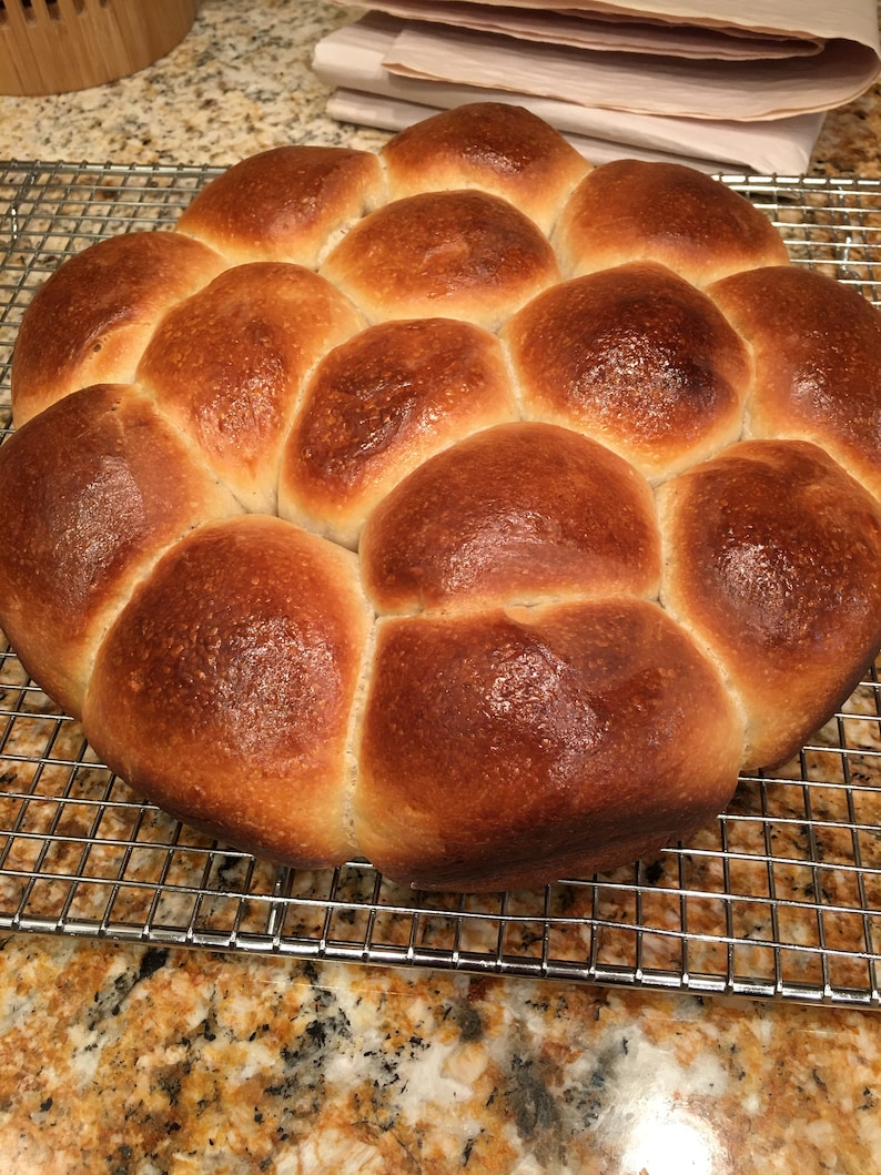 WHEAT BERRIES Organic Whole Grain Hard White Wheat Berries 24 Etsy