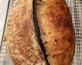 Malted Artisan Bread Flour, Organic Hard Red Wheat, Baking Baguettes Sourdough