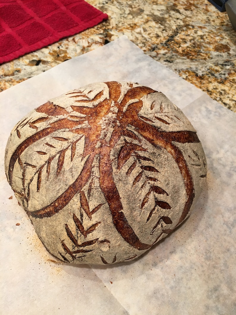 WHEAT BERRIES Organic Whole Grain Hard White Wheat Berries 24 Etsy