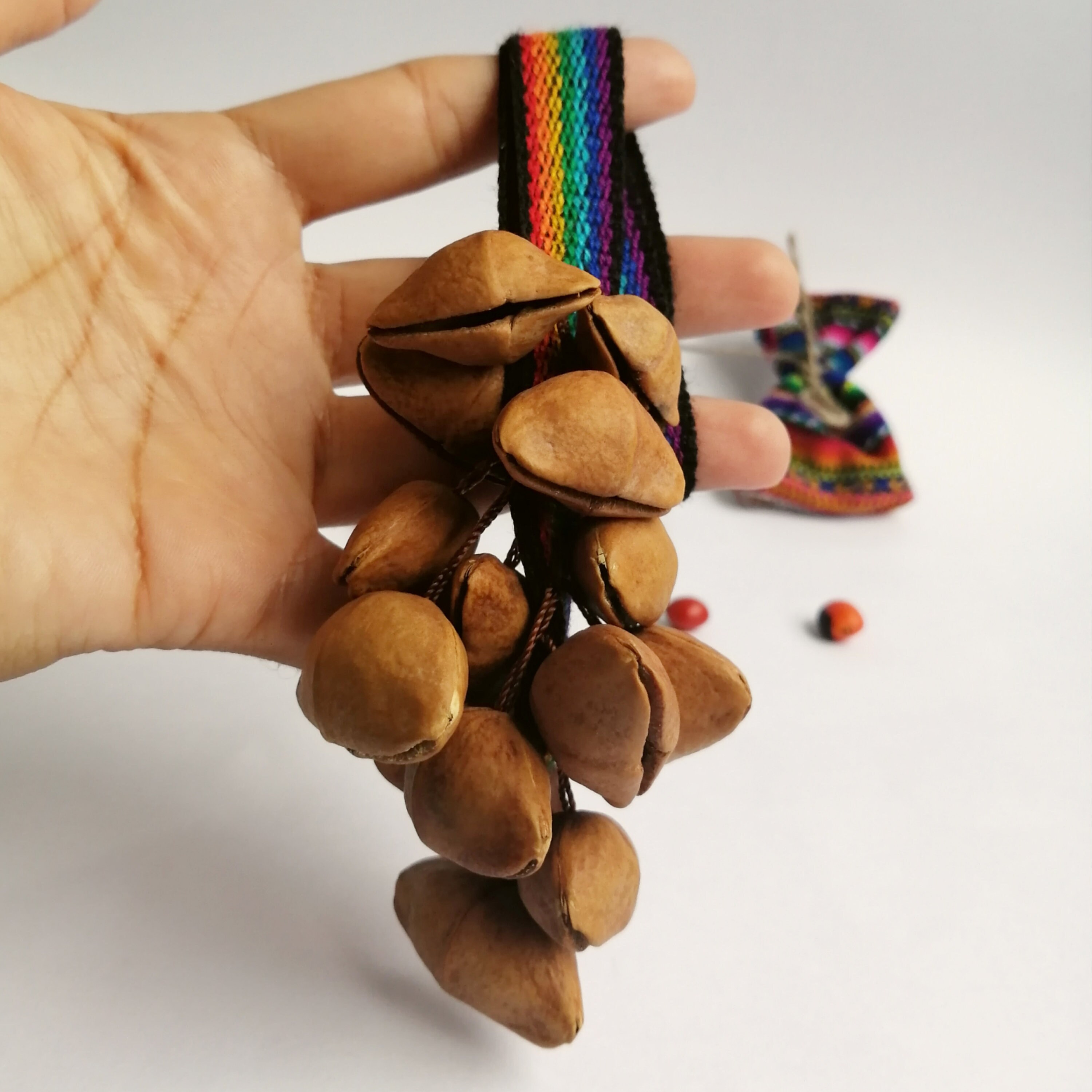 2 Stücke Chajchas Shaker Cascabel Ajitador Amazonas Etsy