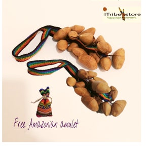 Puede incluir: Un conjunto de vainas de semillas marrones enhebradas con un cordón de colores arcoíris. Las vainas de semillas se utilizan como instrumento musical. Se incluye una pequeña bolsa con un diseño colorido. El texto "Free Amazonian amulet" está escrito debajo de la imagen.