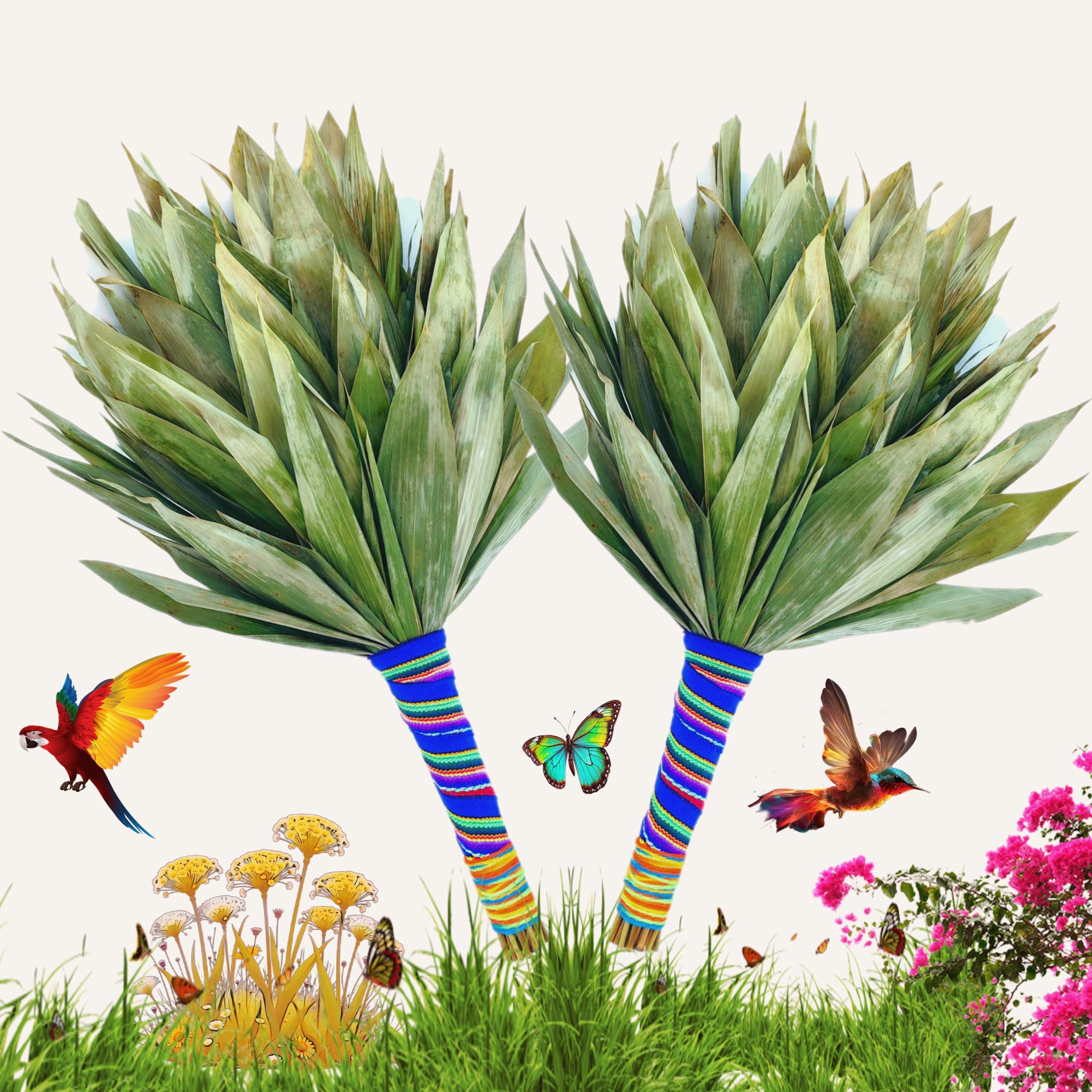 Agua De Horchata Canada