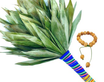 1 Chacapa - Gift 1 Palo Santo bracelet - Ceremonial Cleansing Instrument - Genuine, Native to the Amazon, Peru - Huayra, Stirrer.