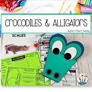 Manualidad de caimanes y cocodrilos para niños, unidad de estudio sobre reptiles, material imprimible de ciencias para la educación en casa.
