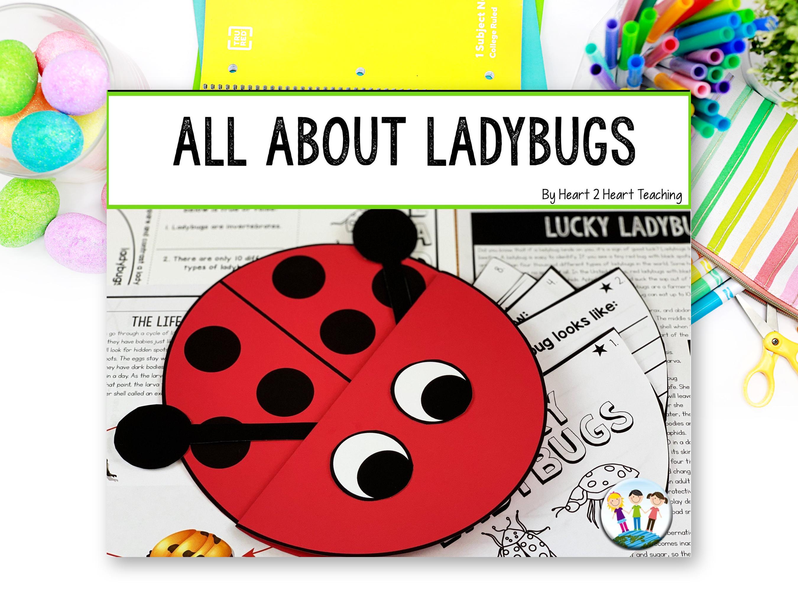 Ladybug Life Cycle Activity for Kids, Craft and Worksheets, Insect…