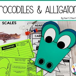 Alligator Printable Craft Crocodiles Printable Craft Alligator Unit Study For Kids Homeschool Science Activity Pack Worksheets