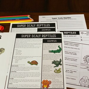 Alligator Printable Craft Crocodiles Printable Craft Alligator Unit ...