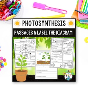 Arbeitsblätter zur Fotosynthese für Kinder, Aktivitäten zum Thema Pflanzenkunde, Lesetexte