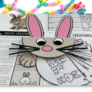 Rabbit Craft Activity for Kids, Bunny Unit Study and Easter Craft, Homeschool Science