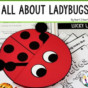 May include: A red and black ladybug craft with large white eyes. The ladybug is made of paper and is partially folded. The craft is on a table with other ladybug-themed educational materials.