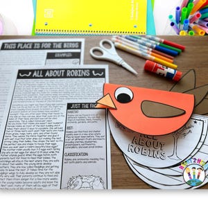 Robin Bird Life Cycle Craft for Kids, Spring Science Unit Study Printable