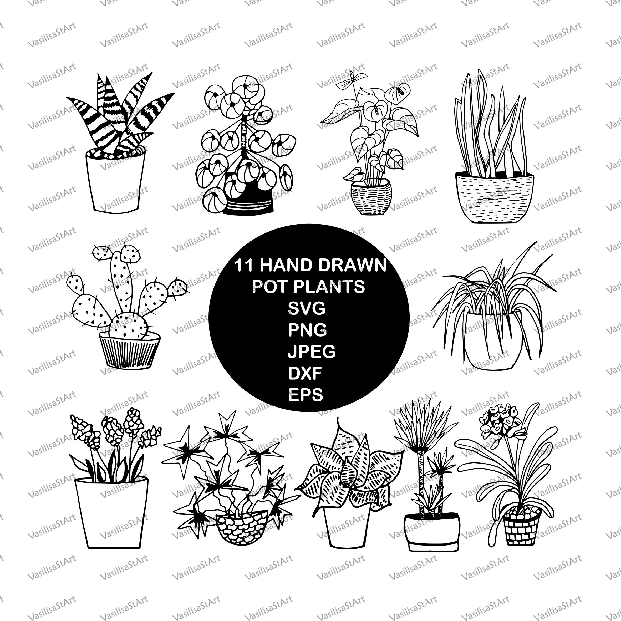 House Plants Svg Bundle, Hand Drawn Plants, Plant Clipart, Svg Clipart
