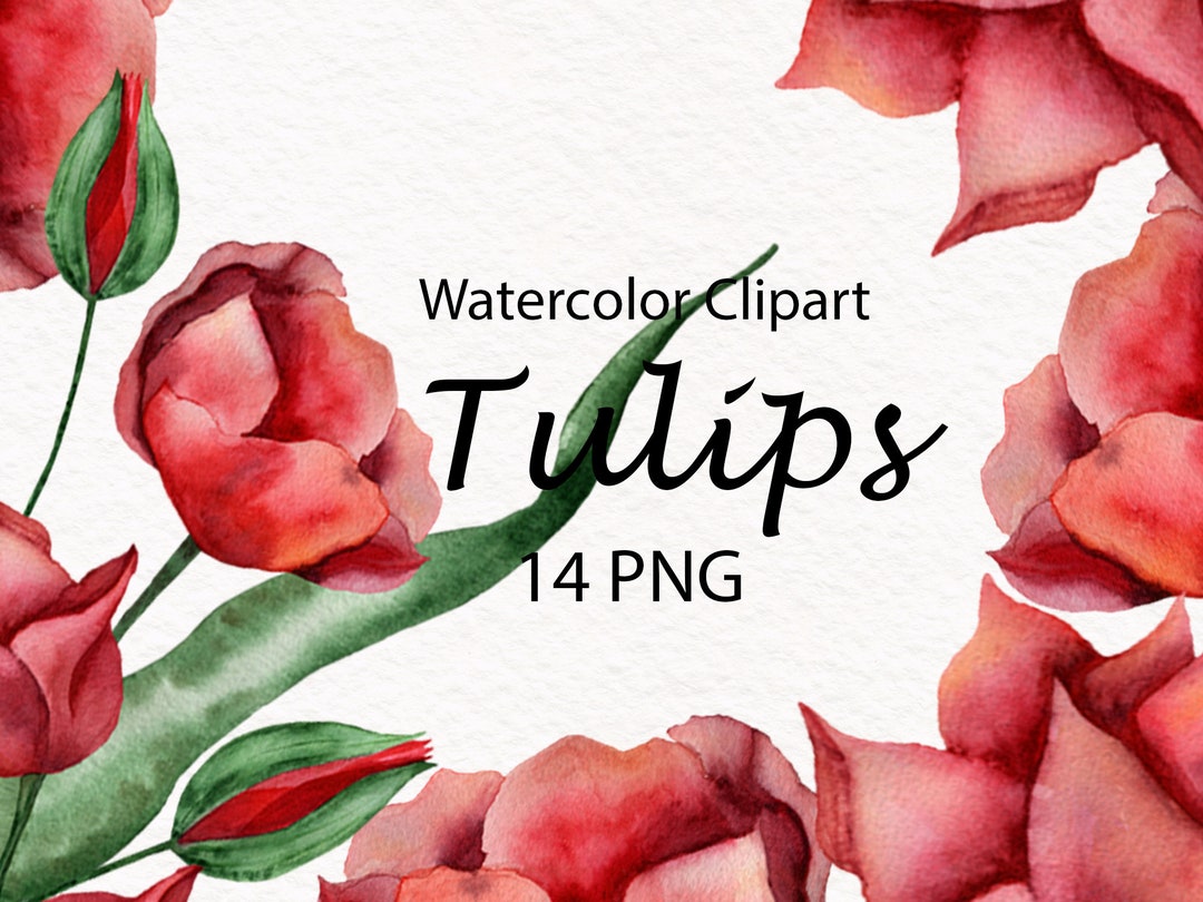 Watercolor Tulip Clipart Set, Floral Bouquet PNG (digital Download) - Etsy