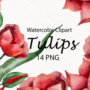 Watercolor Tulips Clipart , Digital Clipart, Watercolor Clipart, Tulip Clipart, Floral Pattern, Tulip Png, Flowers Bouquet, Wedding Decor