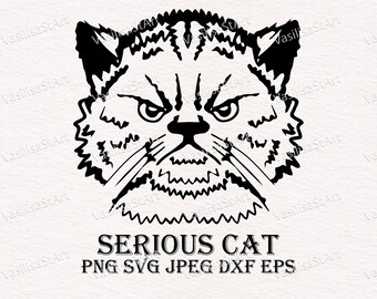 Serious Cat Svg, Files for Cricut, shirt design, Tabby cat svg, dxf cut, hand drawn cat, cut file, funny cat, digital download, vector