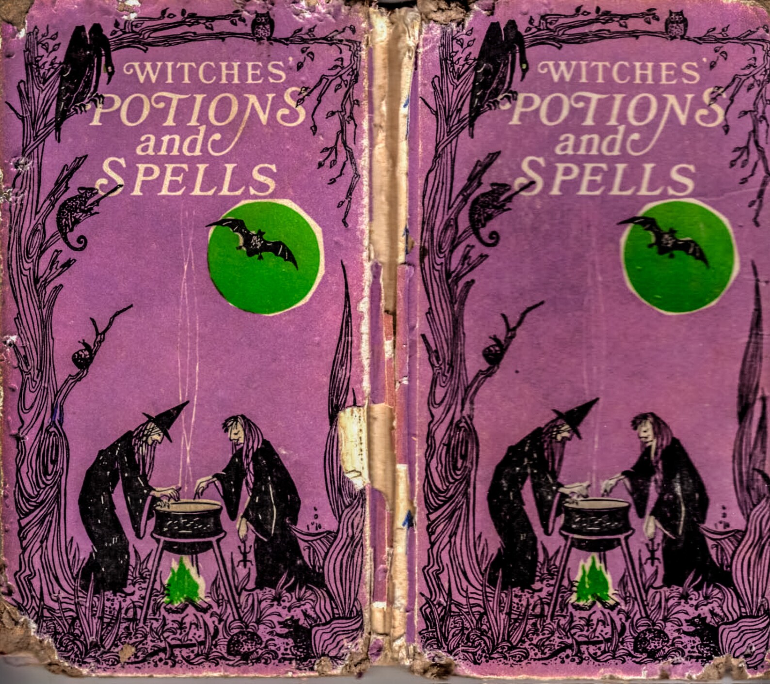 Witches' Potions and Spells by Kathryn Paulsen Vintage Etsy