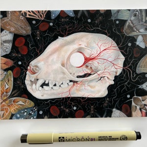 5&quot;x7&quot; Bat Skull postcard print