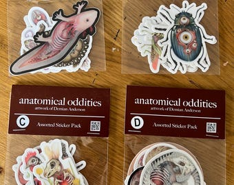 May include: Four assorted sticker packs with the text "anatomical oddities" and "artwork of Demian Anderson." Each pack is labeled A, B, C, and D. The stickers feature anatomical illustrations of various creatures, including an axolotl, beetle, and skeletal figures.